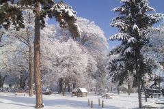 cserhatsurany_kepekben005